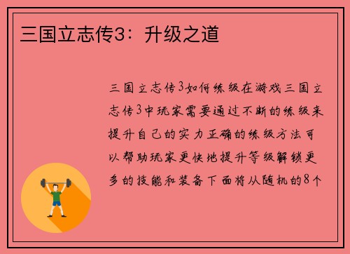 三国立志传3：升级之道